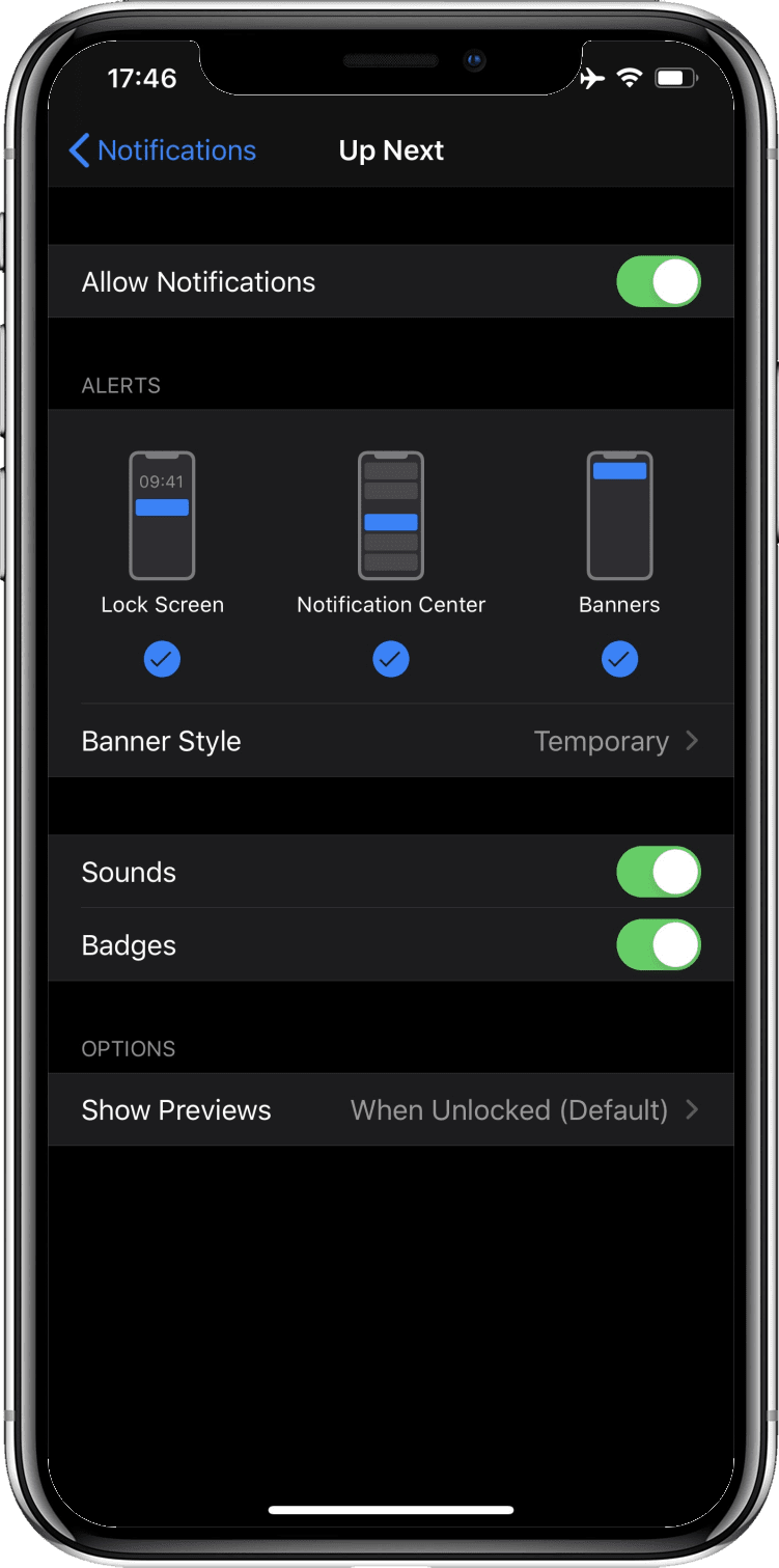 Экран настроек iOS с активированным переключателем «Значки».