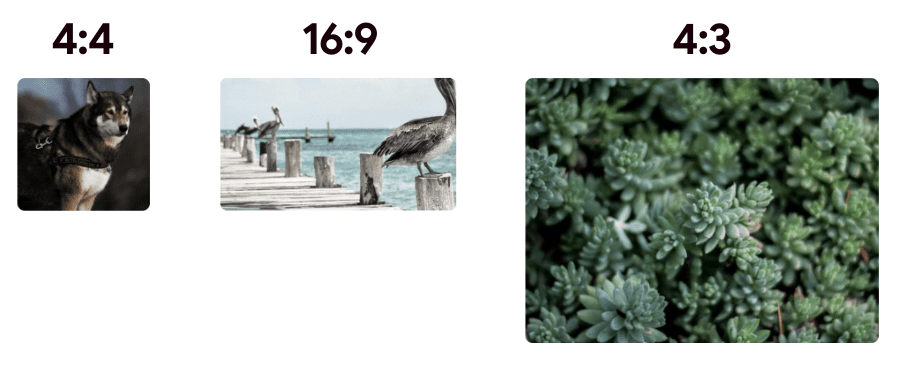 Uma caixa com proporção de 4:4 é mostrada ao lado das outras proporções de design usadas de 16:9 e 4:3.