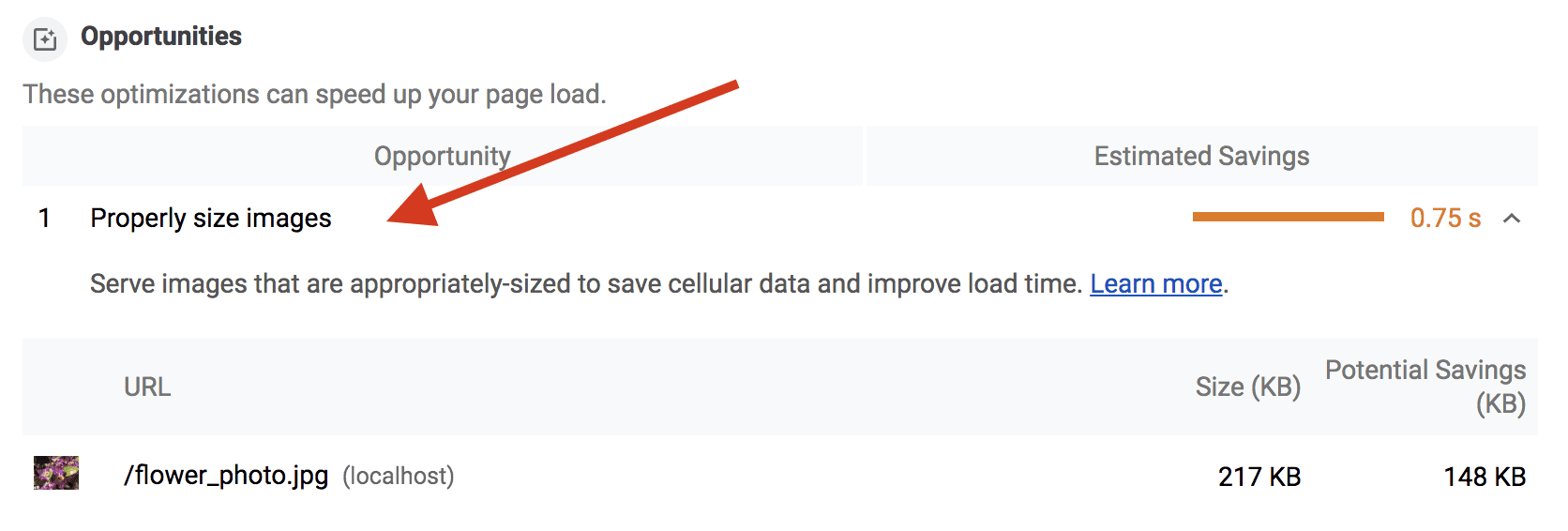 Auditoria de tamanho adequado de imagens do Lighthouse.