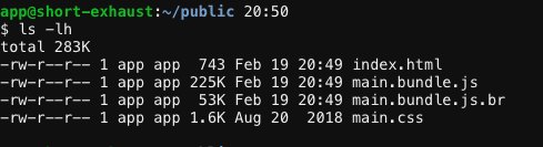 Bundle size with static Brotli compression