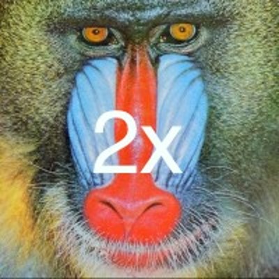 Densité de pixels 2 x de Baboon