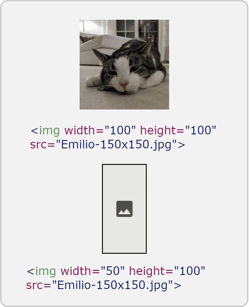 Breite nach Größenanpassung