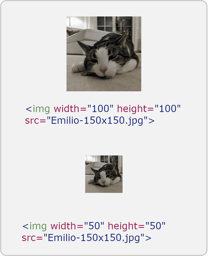 The default resizing behavior.