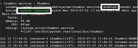 Systemctl displaying the status of Thumbor