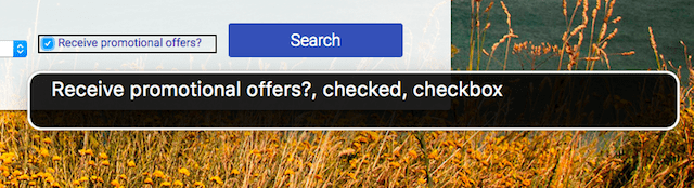 "Promosyon teklifleri almak ister misiniz?" metnini gösteren VoiceOver metin çıktısı