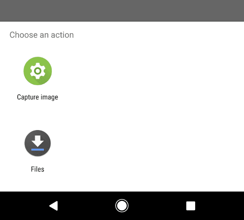 Меню Android с двумя опциями: захват изображения и файлов.