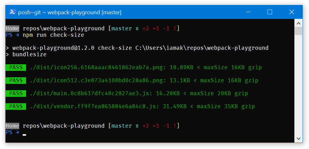 套件大小輸出的螢幕截圖。所有建構結果都標示為「通過」