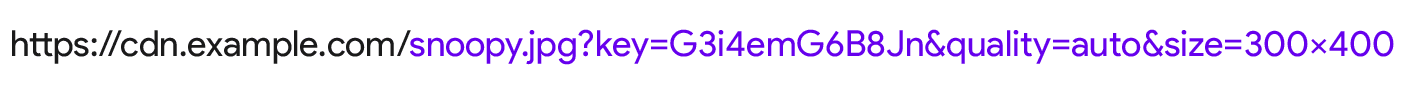 Eine CDN-URL des Bildes mit den Parametern „size=300x400“ und „quality=auto“.
