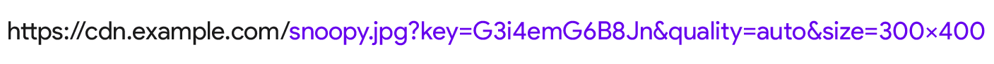 Um URL de CDN de imagem com os parâmetros size=300x400 e quality=auto.