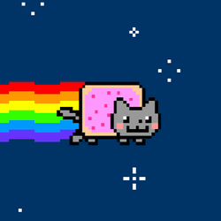 The famous Nyan cat.