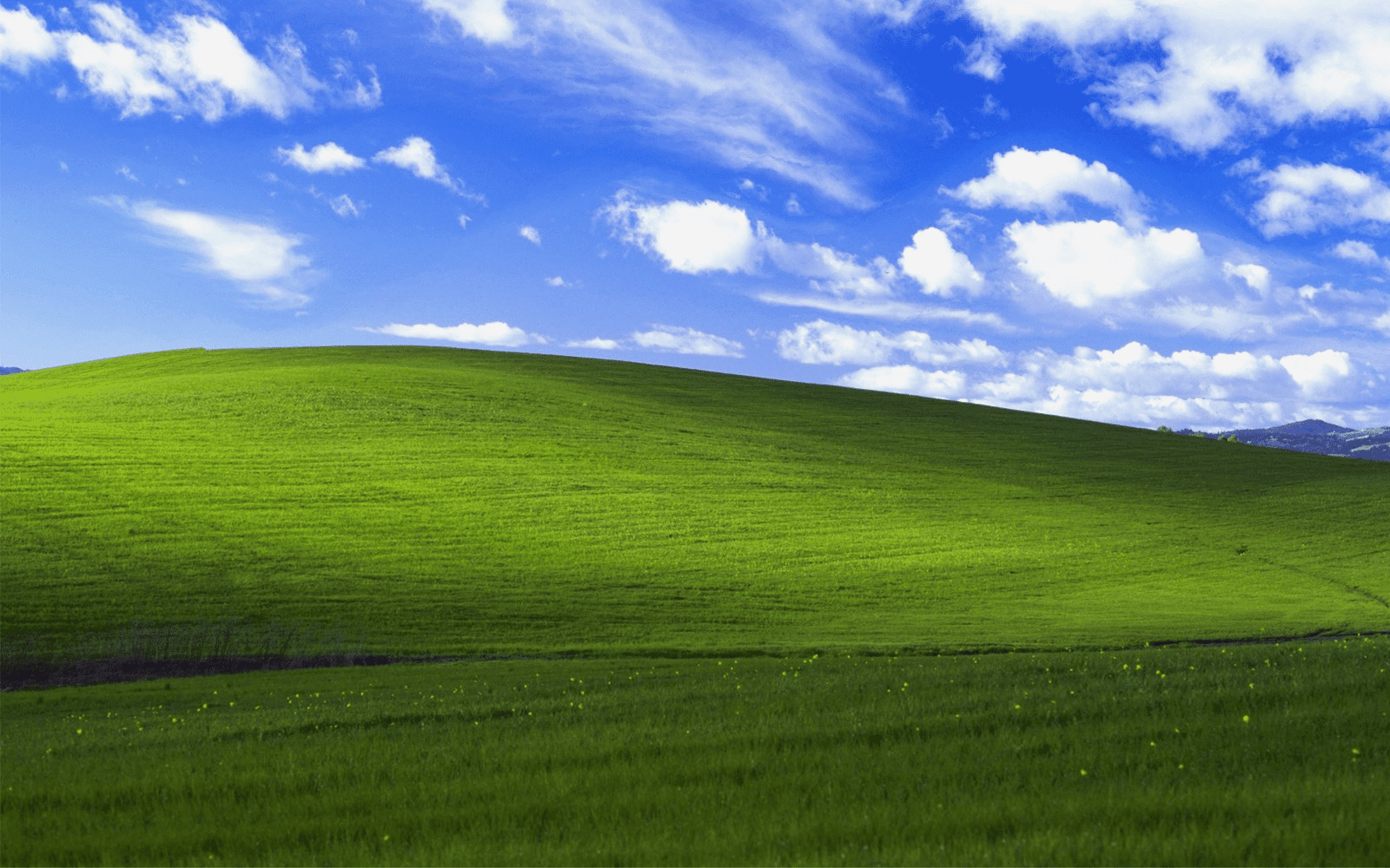 A icônica imagem de plano de fundo do gramado do Windows XP.