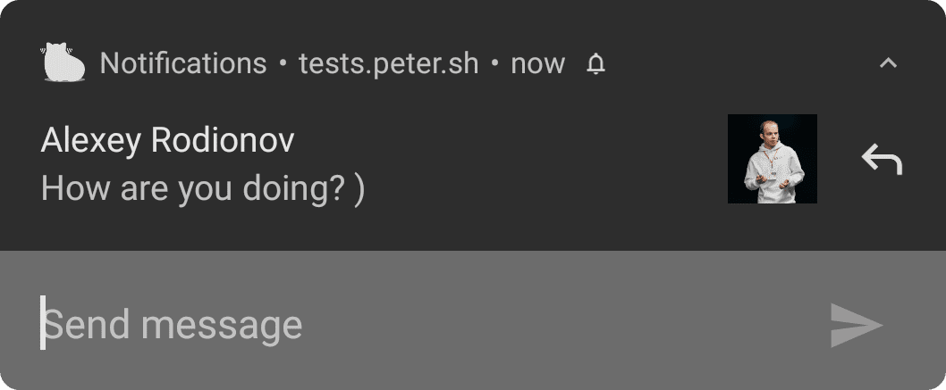 Android 上的通知,其中包含一个打开的文本输入字段。