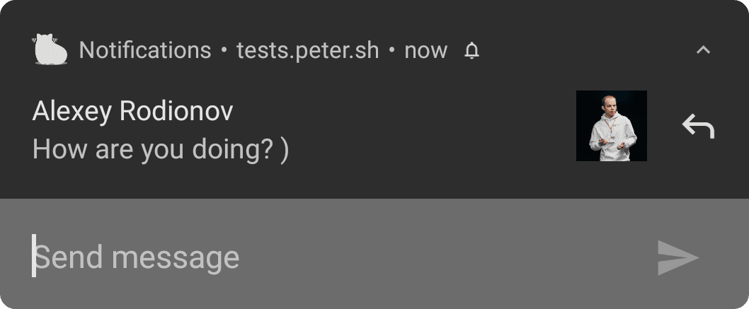 Notifica su Android con un campo di immissione di testo aperto.