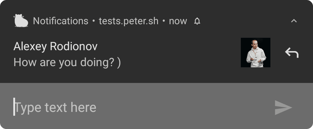 Notificación en Android con marcador de posición personalizado para el campo de entrada de texto