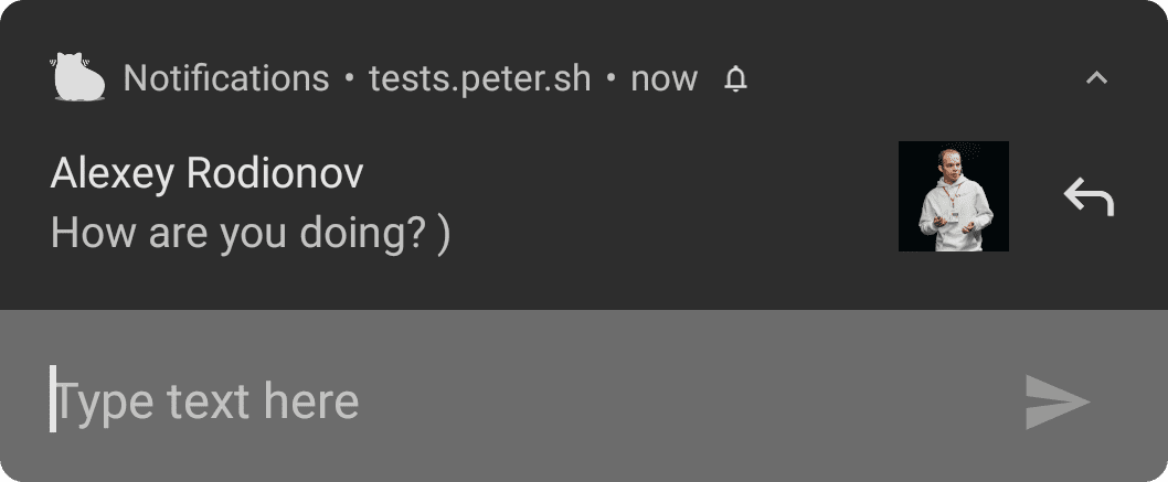 Notifica su Android con segnaposto personalizzato per il campo di immissione del testo.