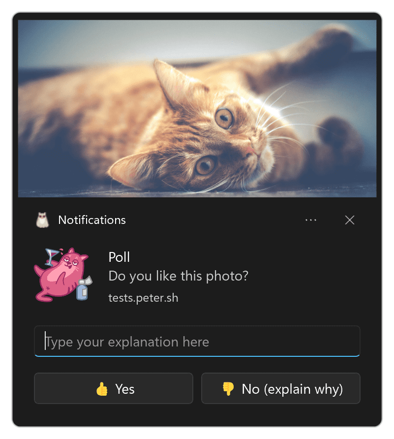 Notification sous Windows avec un champ de saisie de texte et deux boutons d&#39;action.