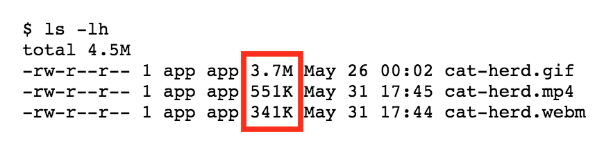 Confronto delle dimensioni dei file: 3,7 MB per la GIF, 551 KB per l'MP4 e 341 KB per il WebM.