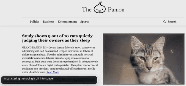 ein Bild mit verbessertem Alt-Text