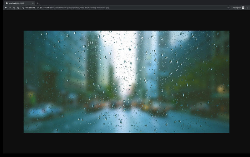 Compressed image with no noticible quality issues