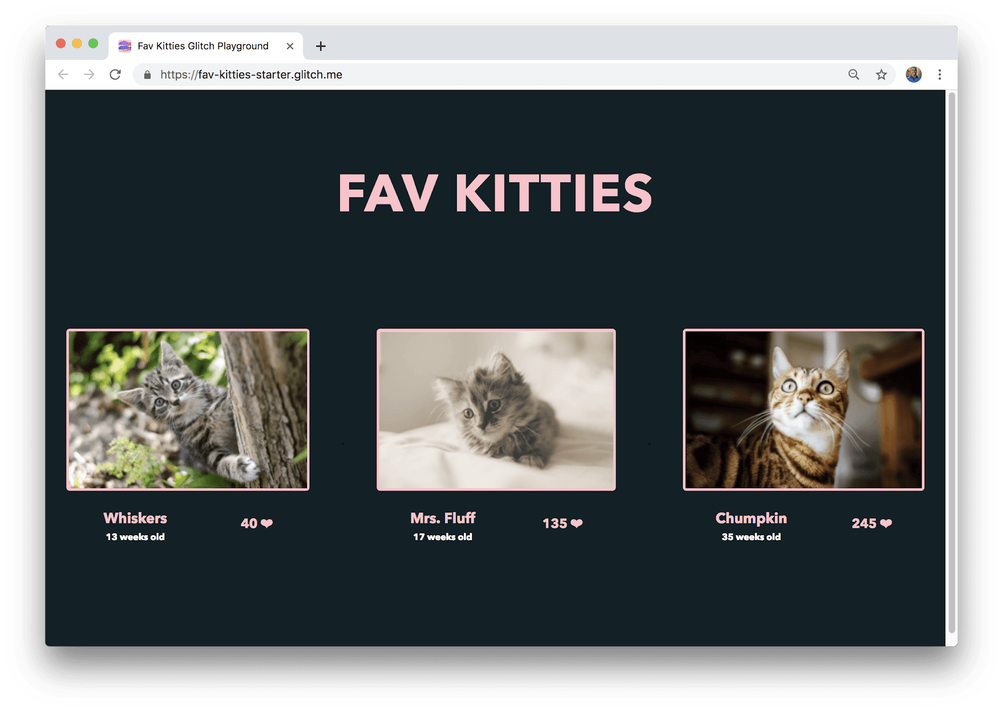 App de votação para gatos