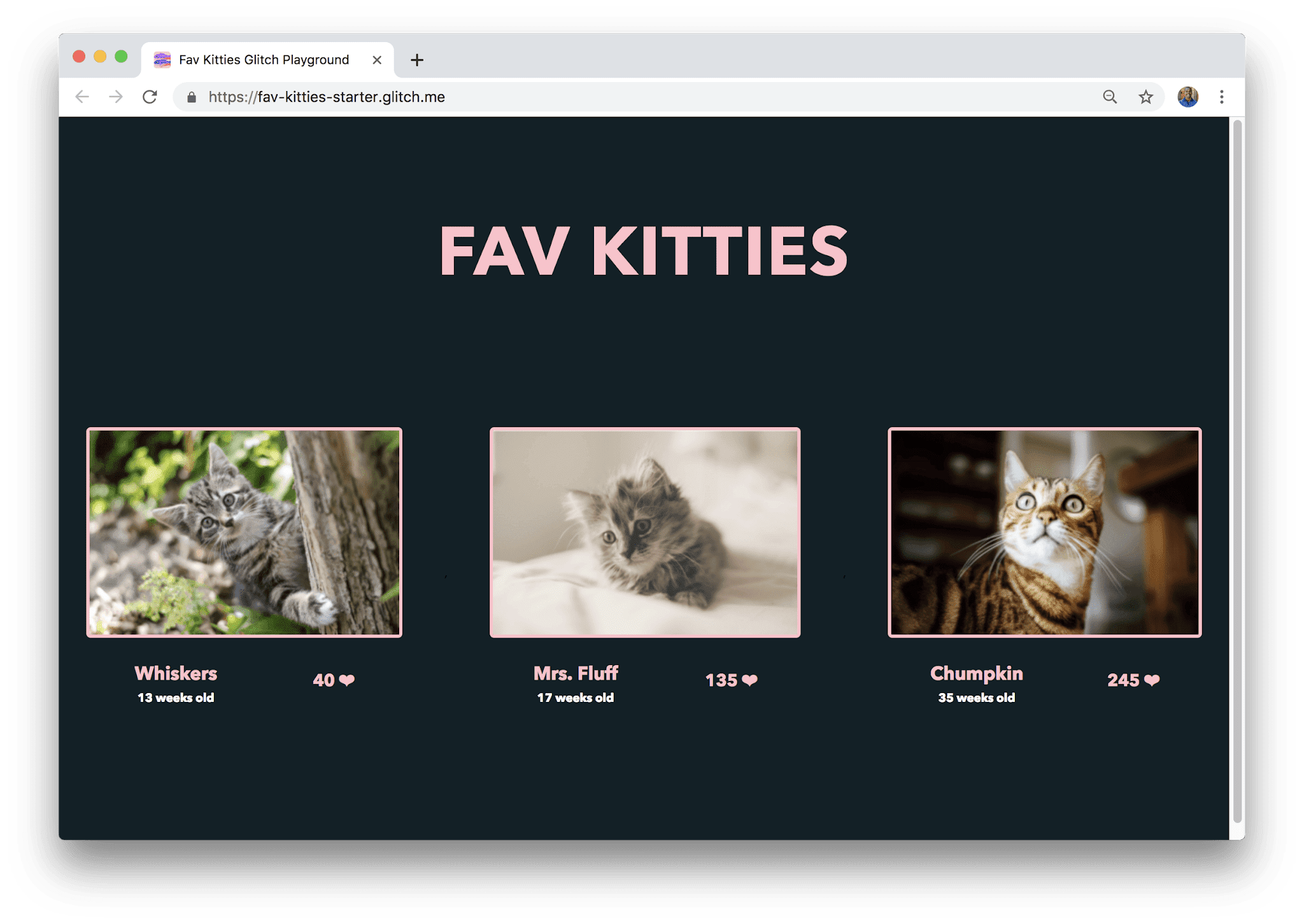 Application de vote pour les chats