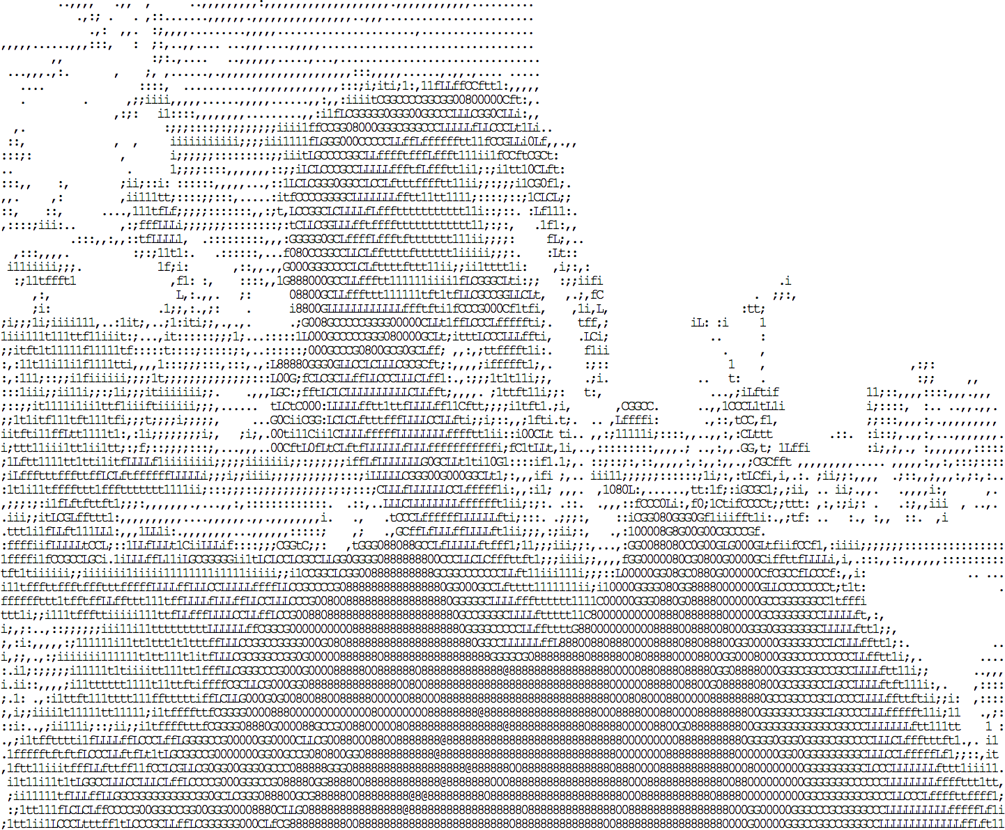 idevelop.ro/ascii-camera で生成された ASCII 画像