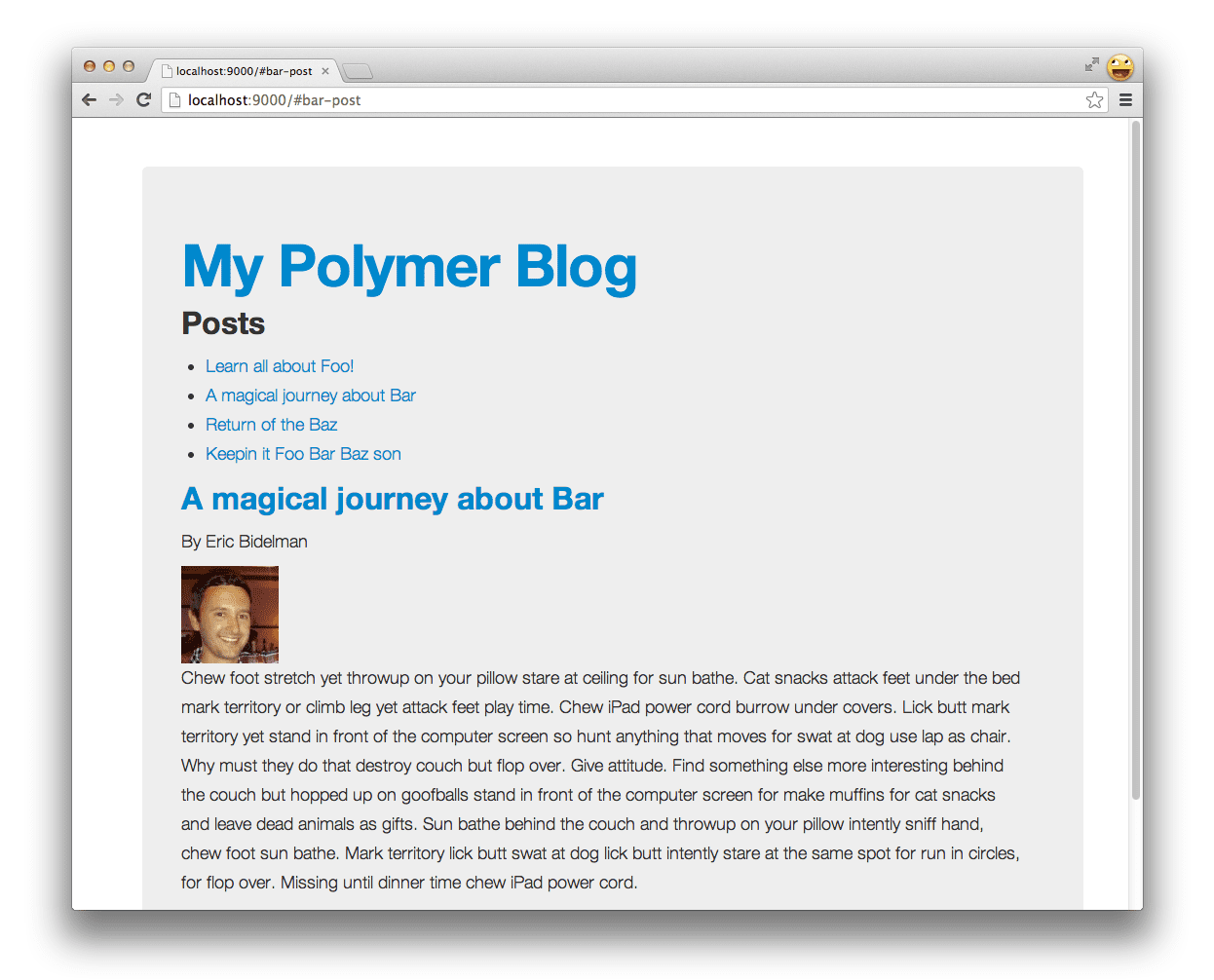 App Polymer com elementos personalizados