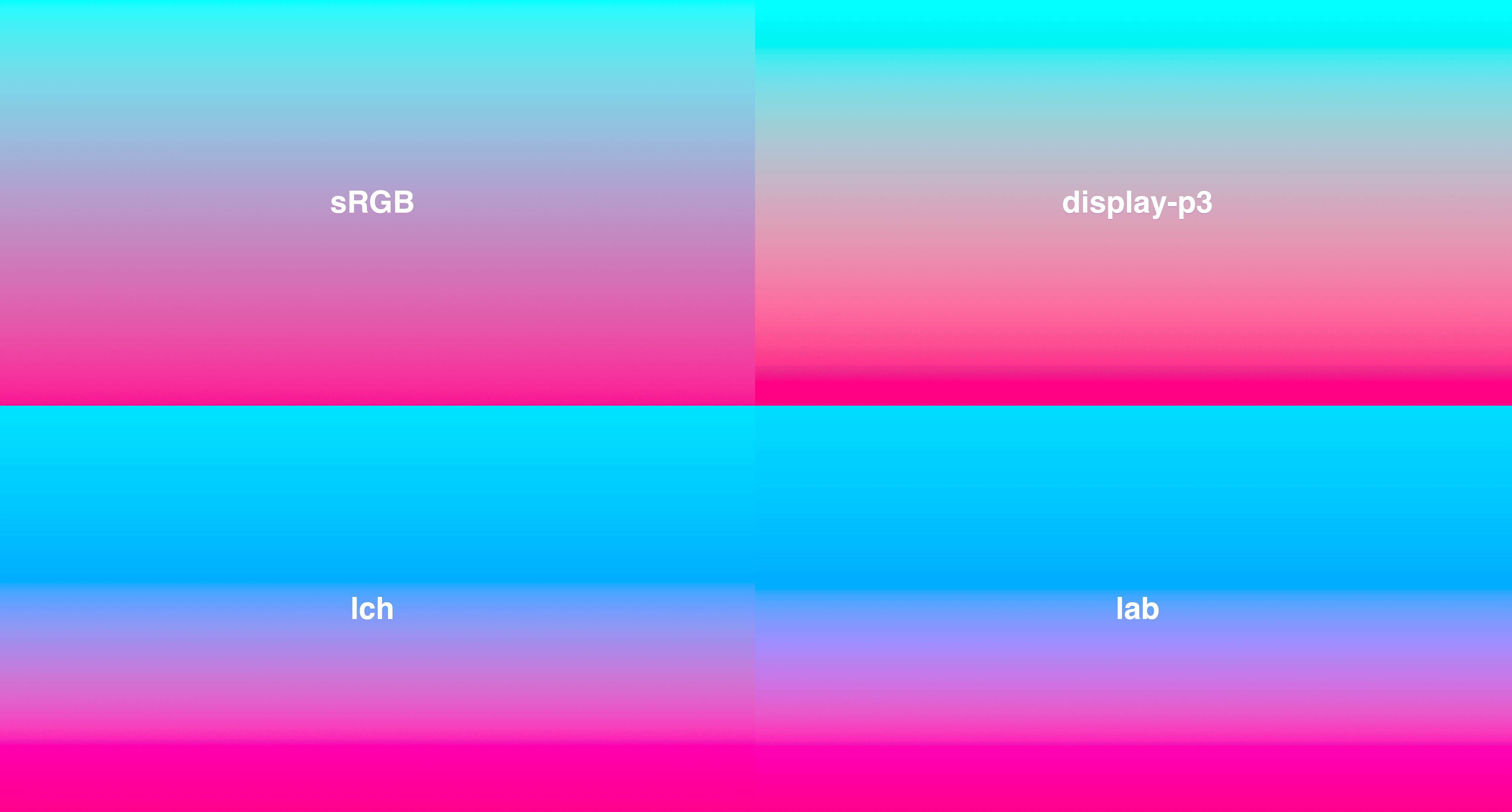 4 Farbverläufe in einem Raster, von Cyan bis tiefrosa. LCH und LAB haben eine konsistentere Lebendigkeit, während sRGB in der Mitte etwas entsättigt ist.