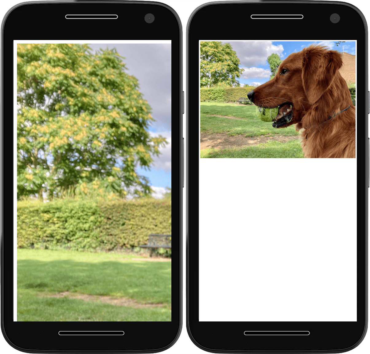 두 개의 스크린샷이 있습니다. 첫 번째 스크린샷은 브라우저 너비를 지나 확장되는 이미지를 보여주고 두 번째 스크린샷은 브라우저 뷰포트 내에 제한된 동일한 이미지를 보여줍니다.