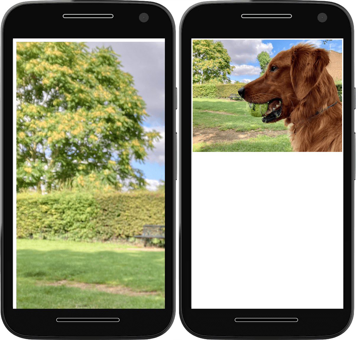 שני צילומי מסך; הראשון מציג תמונה שמתרחבת מעבר לרוחב הדפדפן, ובשני מוצגת אותה תמונה מוגבלת בתוך אזור התצוגה של הדפדפן.